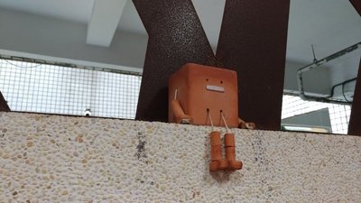 圖片